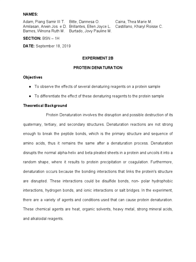 Protein PDF Denaturation (Biochemistry) Proteins