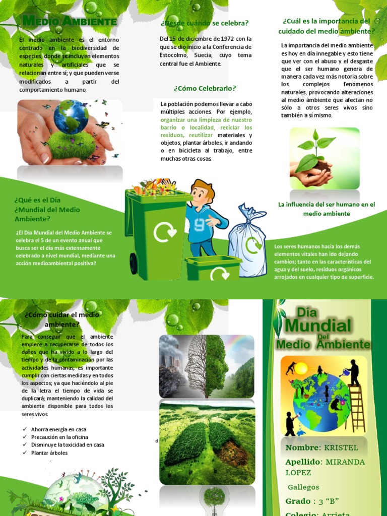Tríptico sobre el Día del Medio Ambiente | PDF | Entorno natural | Residuos