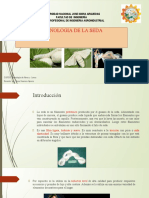 Tecnologia de La Seda F PDF