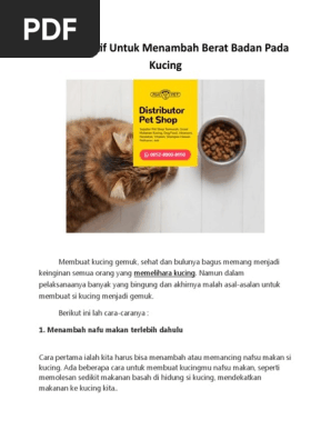Recommended Wa 0852 8000 8050 Distributor Dog Food Indonesia