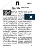 Canine Cranial Cruciate Ligament Rupture in Profile: Orthopedics Orthopédie