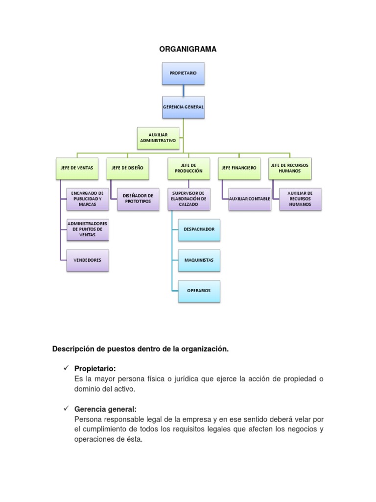Organigrama y Descripcion de Puestos Para Proyecto Empresarial Gestión de recursos humanos