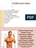 Sistem Pencernaan Manusia