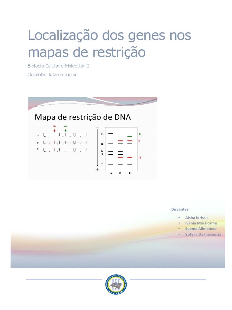Tamanho do mercado de mapeamento óptico do genoma e análise de participação  – Relatório de pesquisa da indústria – Tendências de crescimento, image size:768x1024