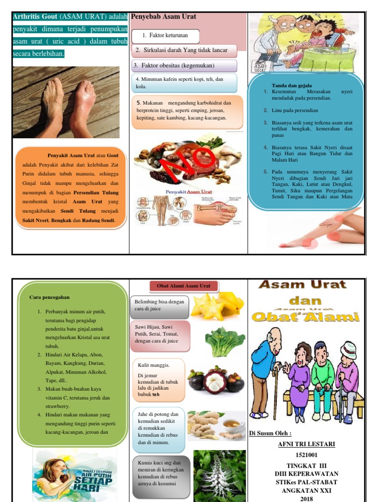 Leaflet Asam Urat | PDF