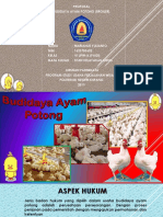 Proposal Budidaya Ayam Potong (Broiler)