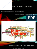 Companii de Tip Joint-Venture