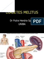 Diabetes Melitus: DR Putra Hendra SPPD Uniba