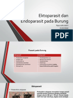 Ektoparasit Dan Endoparasit Pada Burung