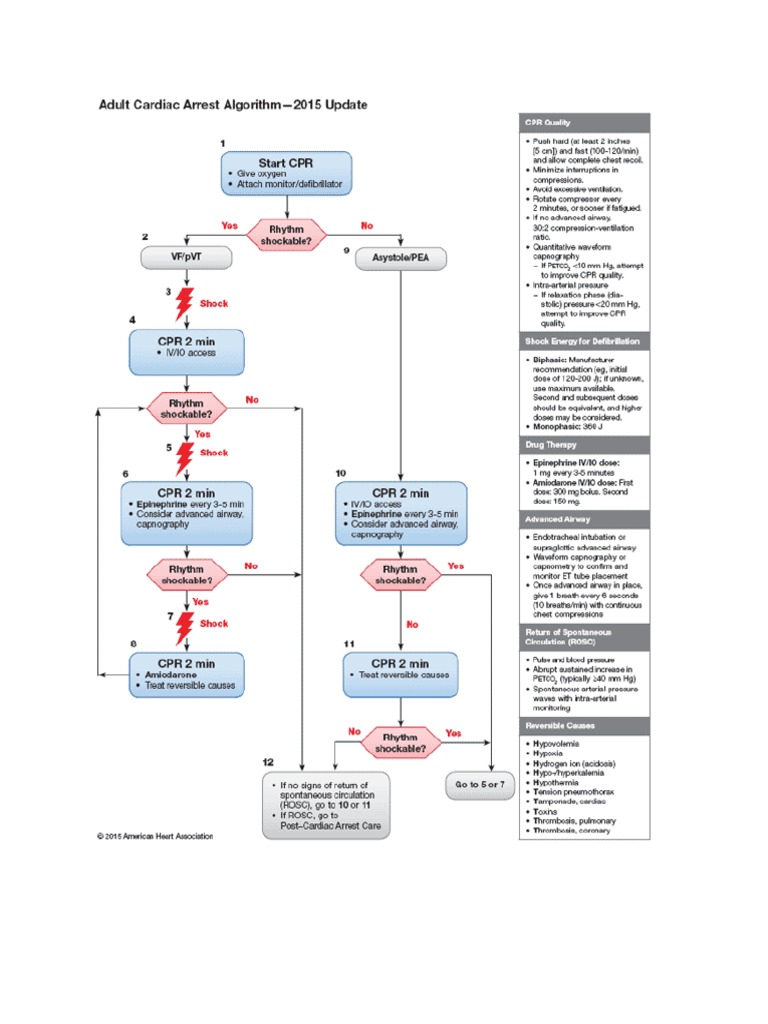 Algoritma CPR | PDF