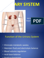 Urinary System: Ida Ayu Ika Wahyuniari Department of Histology