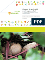 Manual Activitati Prescolari PDF