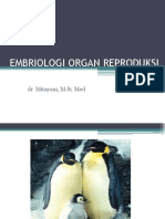 Embriologi Organ Reproduksi