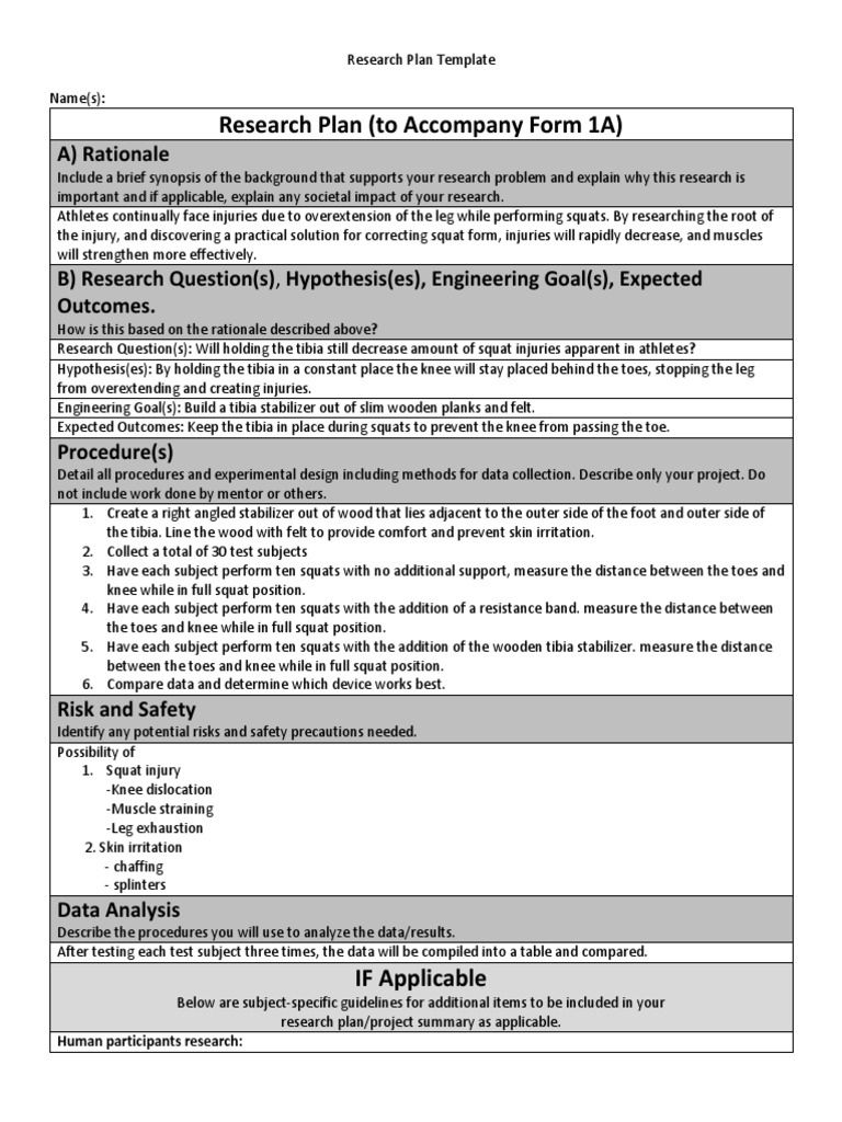 Research Plan Project Summary For 1a | PDF | Knee | Risk
