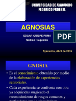 AGNOSIAS.pdf