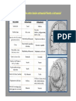 Intraaxial Vs Extraaxial PDF