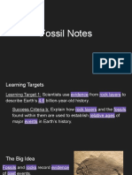 1b Fossil Notes