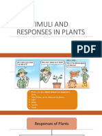 1.3 & 1.4 Stimuli and Responses in Plants and Animals