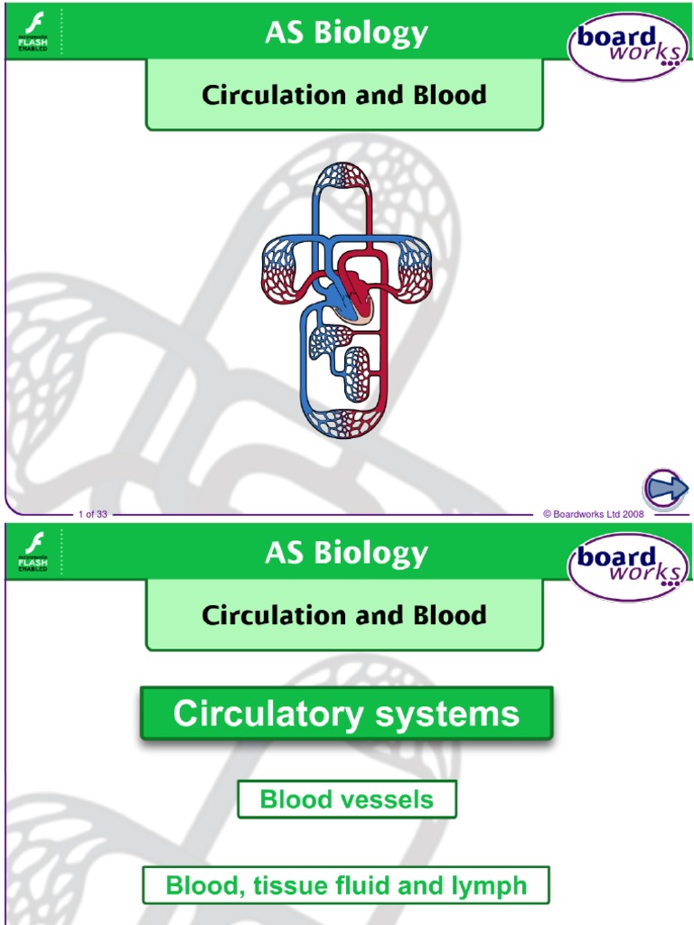 As Circulation & Blood 2008 | PDF | Lymphatic System | Circulatory System