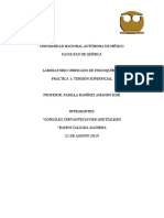 LUF Practica 1.docx (2).pdf