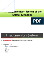 10 Integumentary Systemjjj