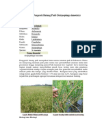 Klasifikasi ilmiah penggerek batang padi , Damar.docx