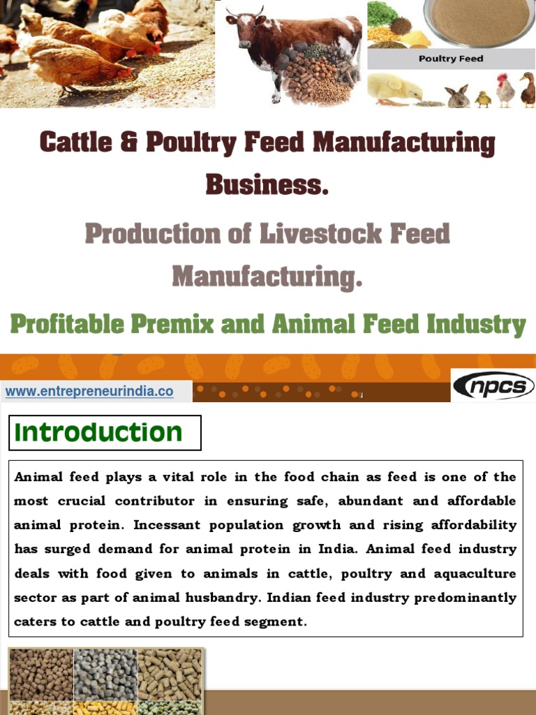 Cattle & Poultry Feed Manufacturing Business-252054 PDF | PDF | Animal Feed  | Revenue