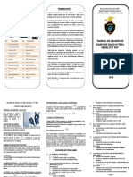 Triptico Manual Radio Tetra Portatil PT 580h