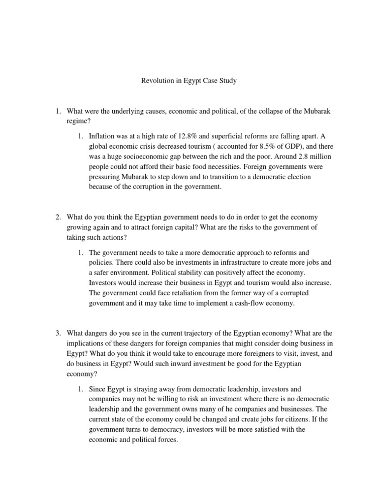 Revolution in Egypt Case Study PDF Egypt Economies