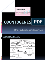 Odontogenesis blok 4 2012.ppt