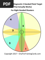 Brain Based Diagnostic 2 Handed Pistol Target (That Actually Works) For Right Handed Shooters