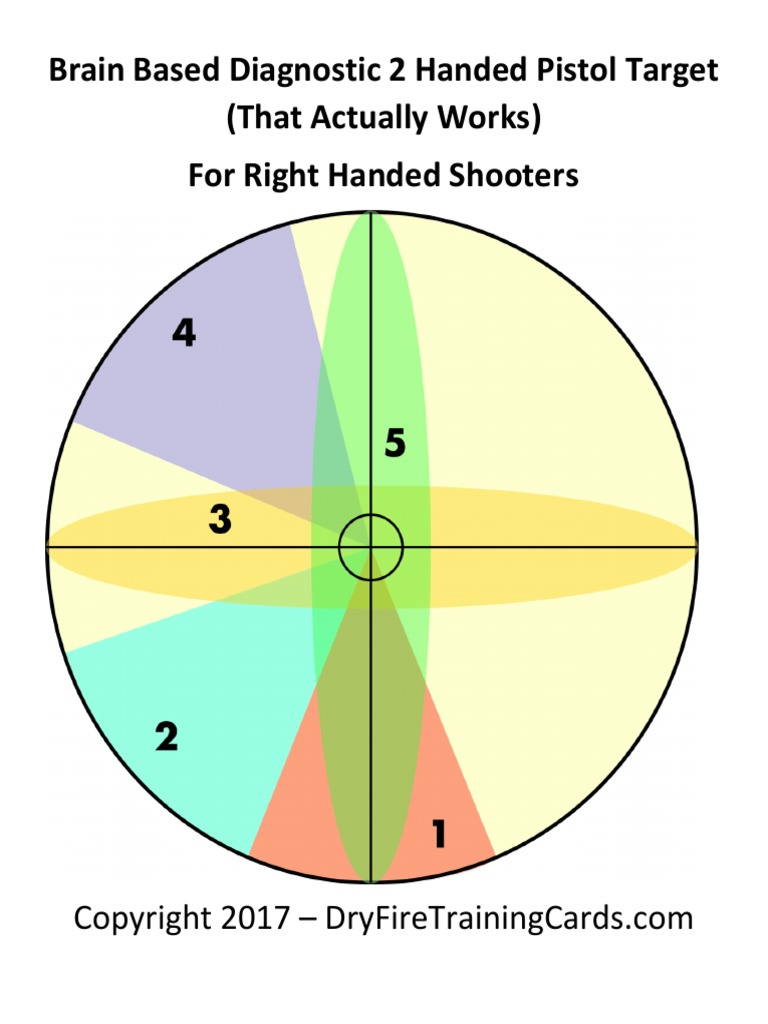 Brain Based Diagnostic 2 Handed Pistol Target (That Actually Works) For