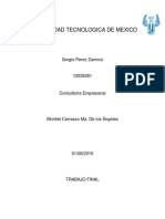 Trabajo Final Consultoria Emprasarial