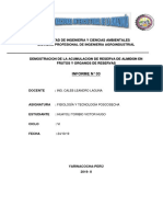 Demostración de La Acumulación de Reservas de Almidón en Frutos y Órganos de Reserva