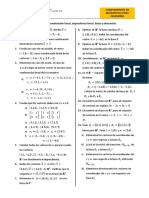 2 Combinación Lineal.pdf
