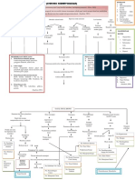 Pathway CKD