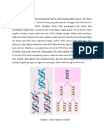 Bio Sel-Model Dispertif