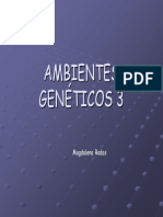 Ambientes Genéticos Minerales