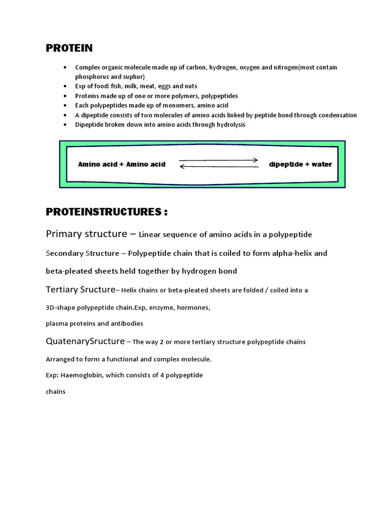 Understanding Protein Structures and Functions | PDF