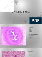 Histology Chrome: Practice I