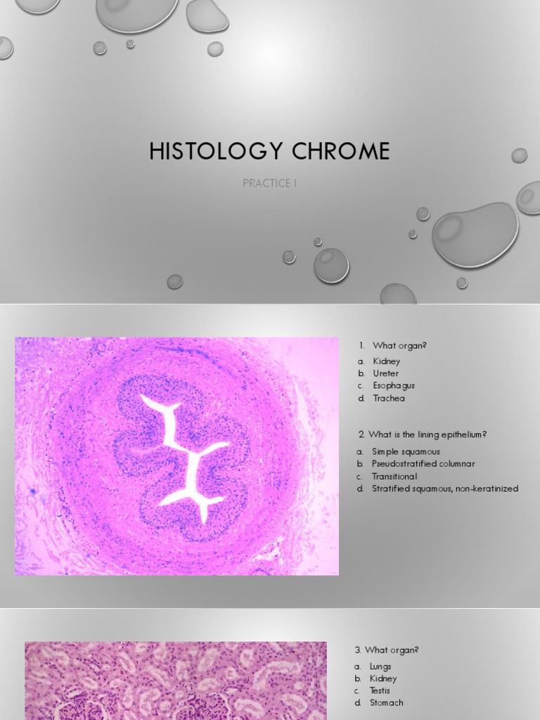 What Is Histology Result