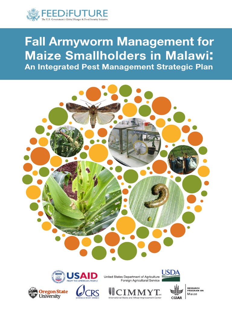 FAW Malawi IPM Strategy 072019 PDF Pesticide Pest Control