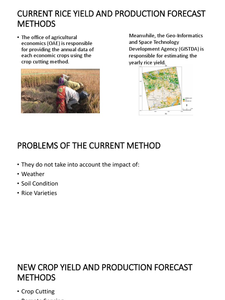 Rice Yield Forecasting Methods Explained | PDF