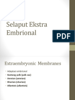 Selaput Embrio