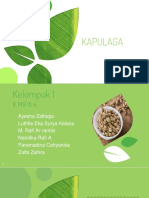 Kapulaga PKLH