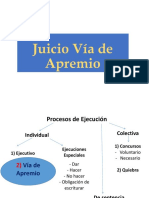 Juicio Vía de Apremio