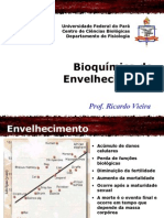 Bioquimica Do Envelhecimento