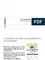 Nutrient Cycles: Prof. Murray, Univ of Illinois at Chicago