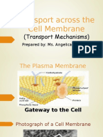 Transport Across The Cell Membrane - Odp