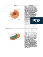 Assignment Biology